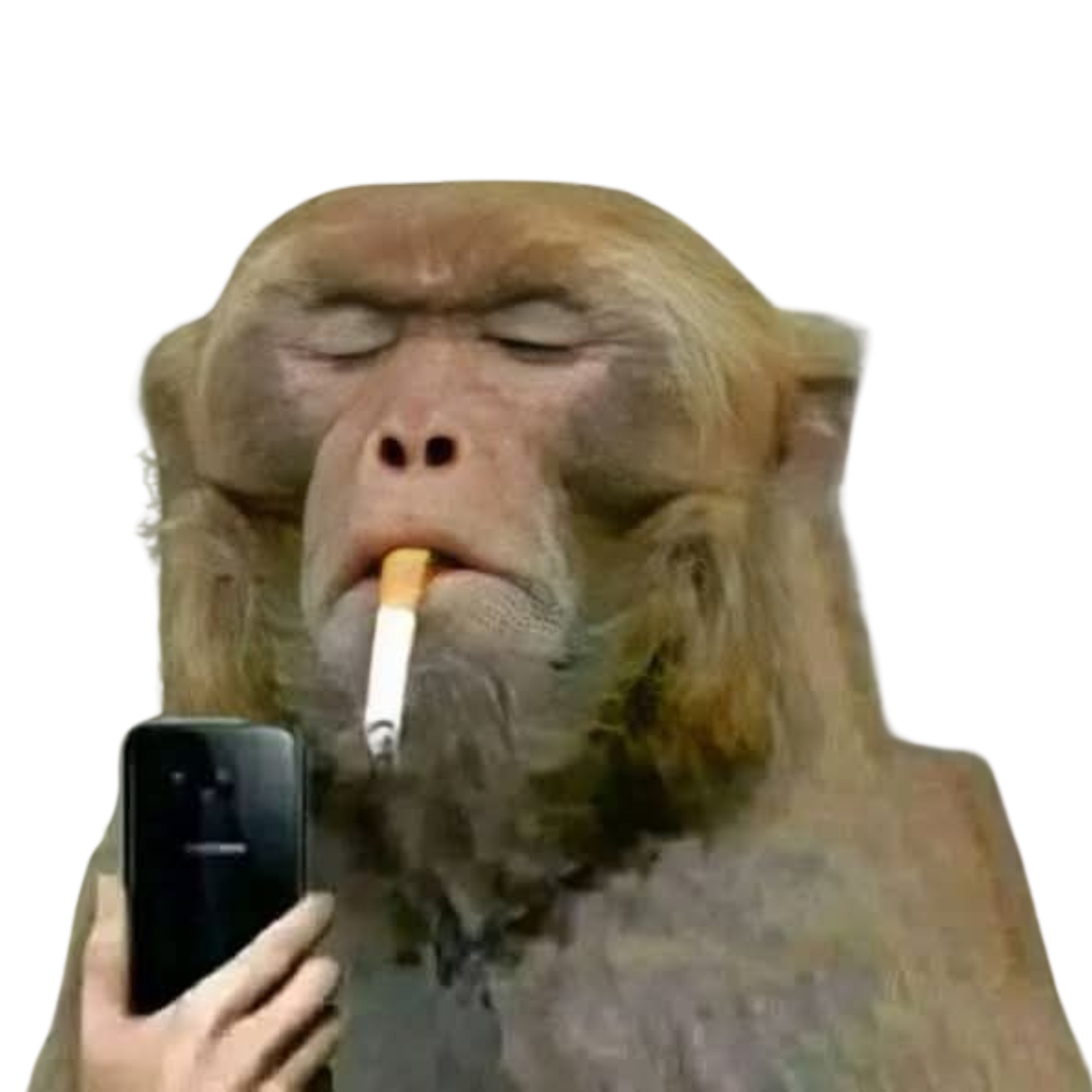 No Regrets Monkey